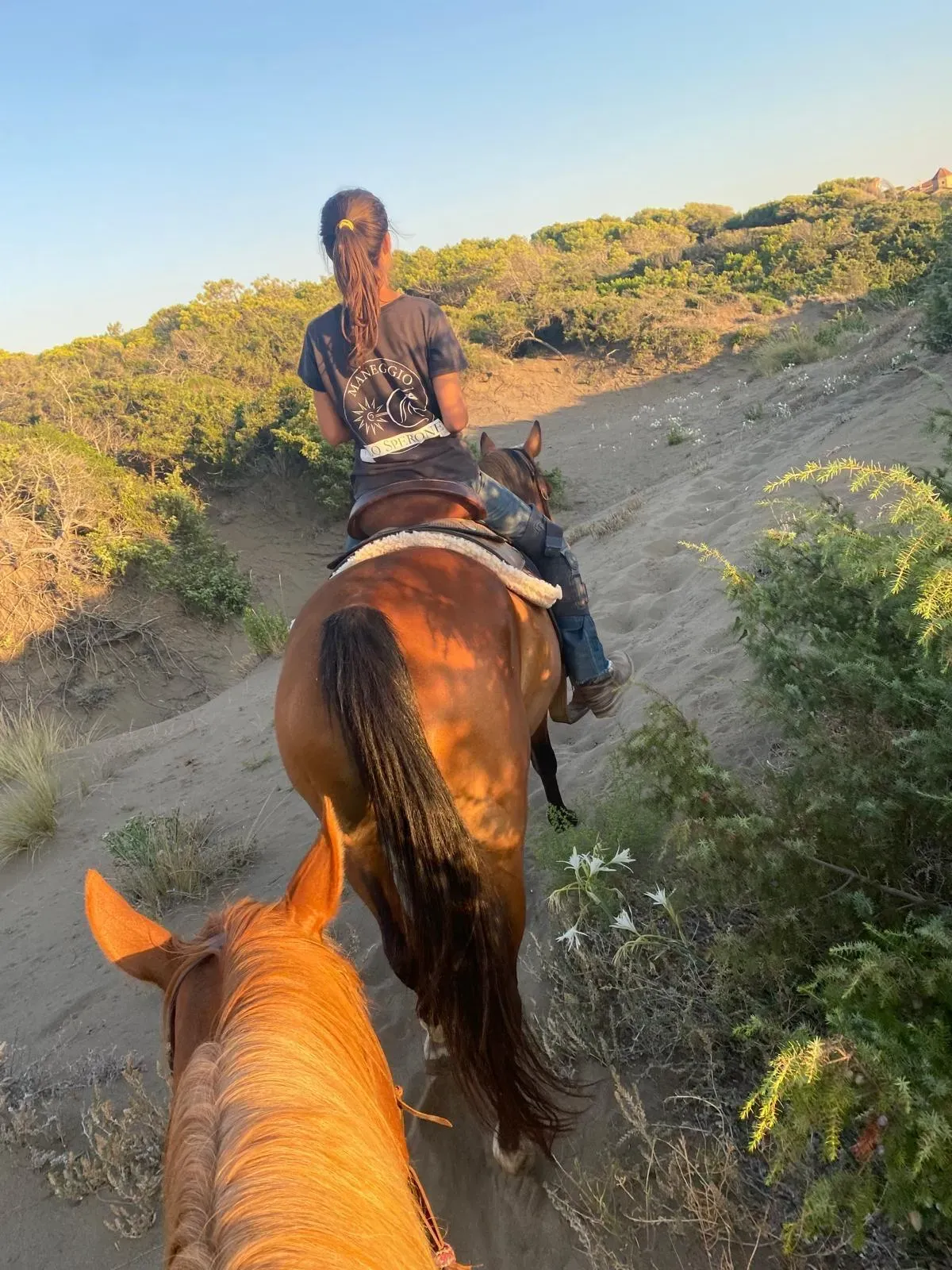 Passeggiata a cavallo sulla spiaggia