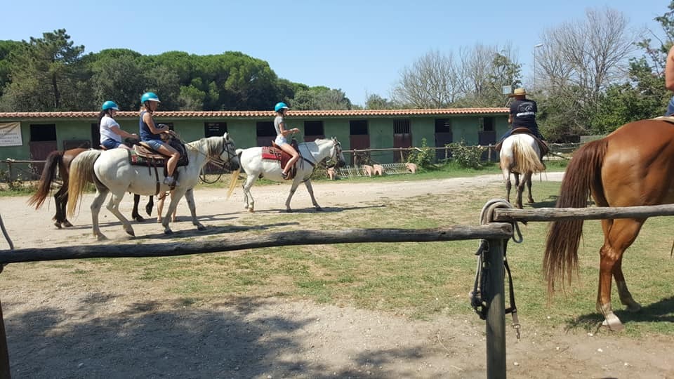 Lezione di equitazione