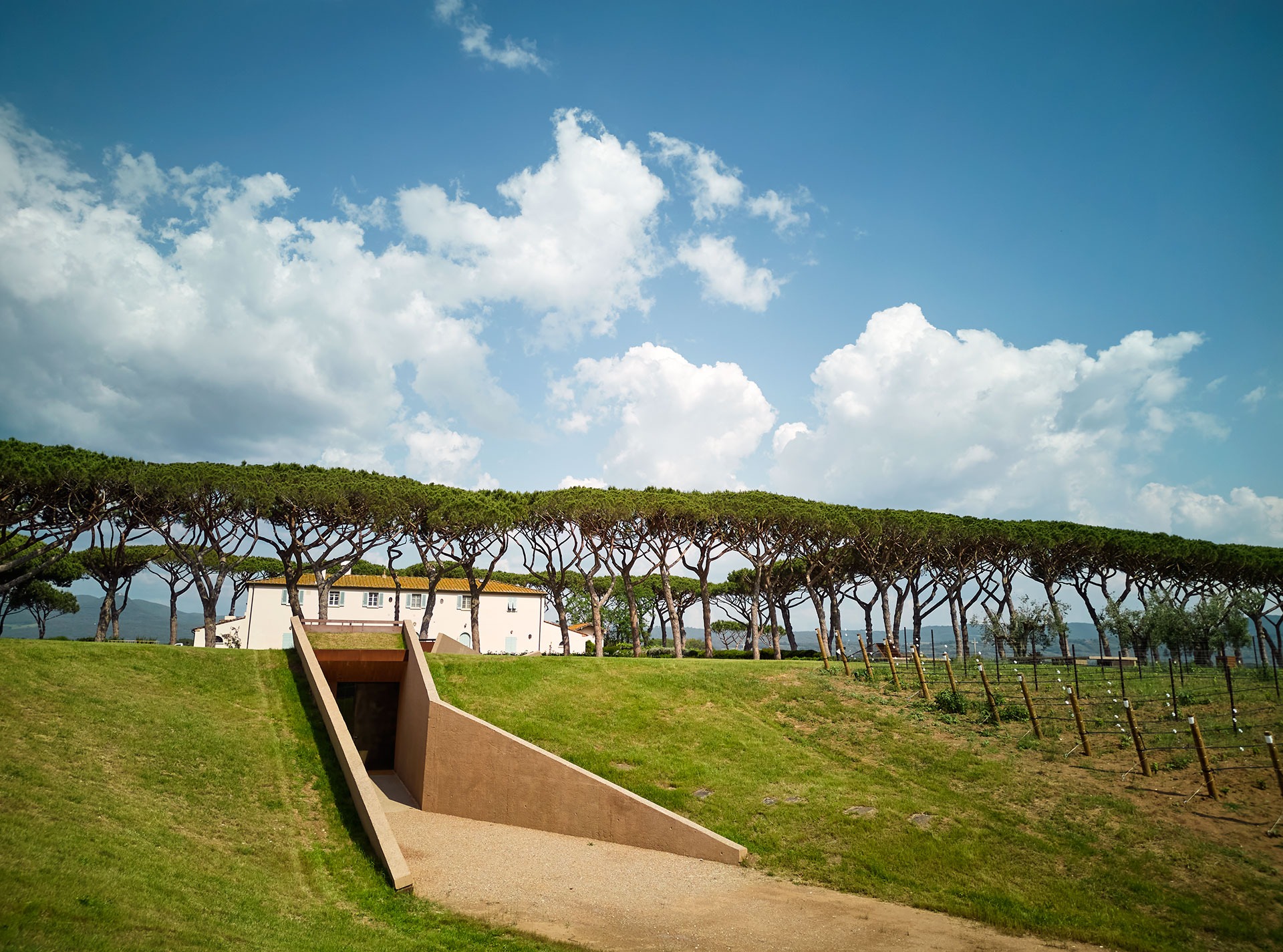 Tenuta Guado al Tasso