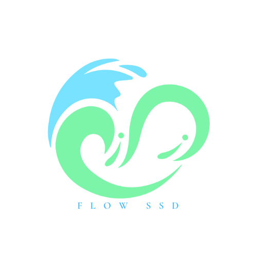 Logo Flow Experience