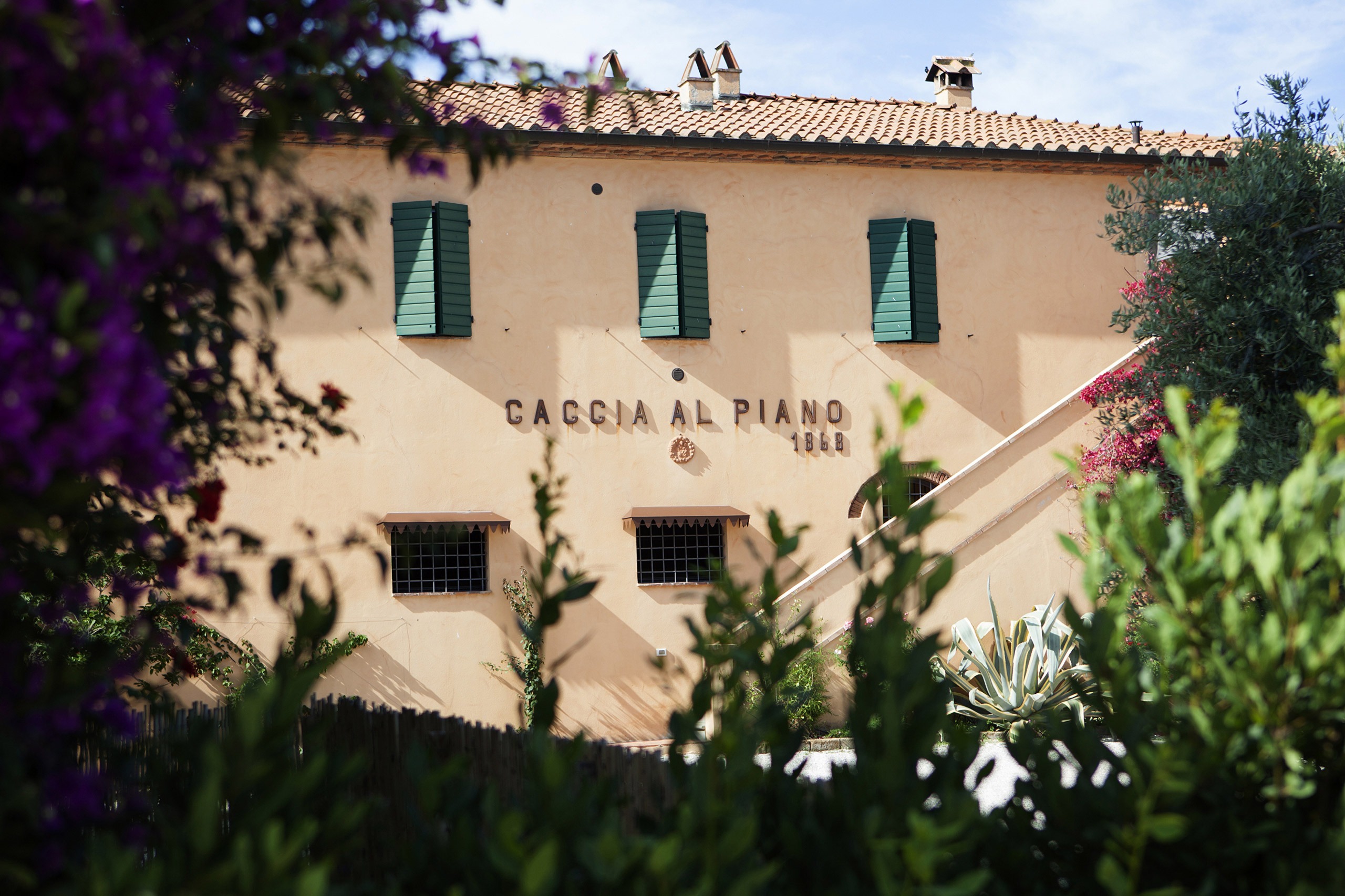 Vintage - Caccia al Piano